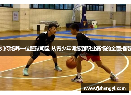如何培养一位篮球明星 从青少年训练到职业赛场的全面指南