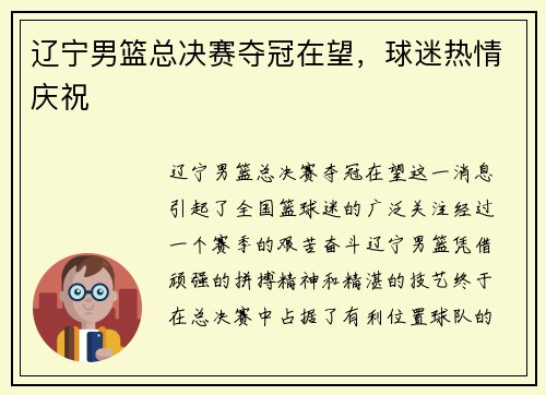 辽宁男篮总决赛夺冠在望，球迷热情庆祝